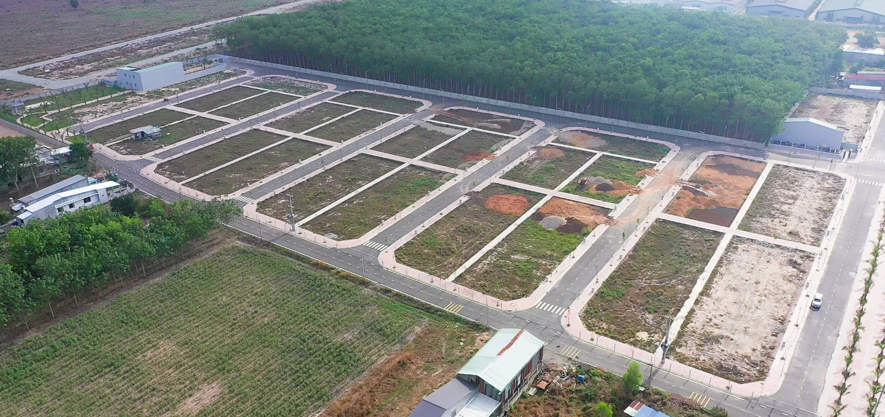 NEW-LAND7.jpg